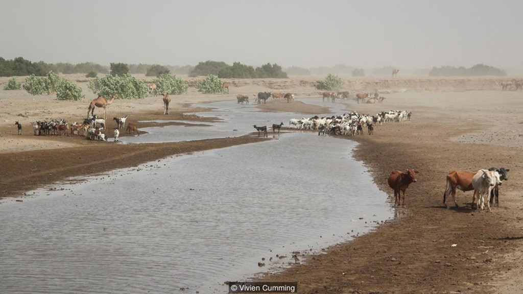 Picture 14 of Life in the hottest land in the world
