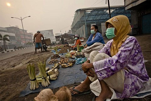 Picture 10 of Life in the sea of ​​smoke in Indonesia