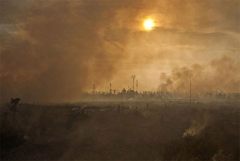 Picture 8 of Life in the sea of ​​smoke in Indonesia