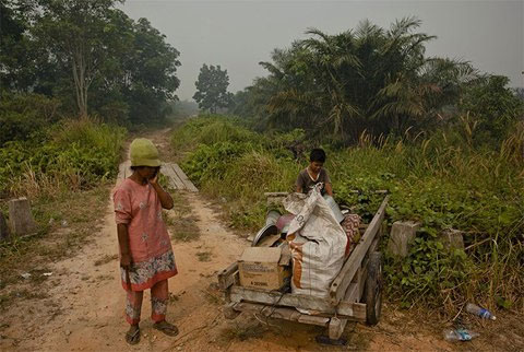Picture 9 of Life in the sea of ​​smoke in Indonesia