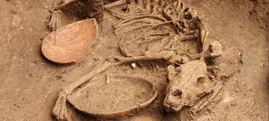 Picture 3 of Life is equally amazing between modern people and prehistoric people
