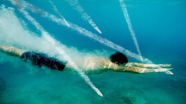 Picture 1 of Life is like a movie: If it is shot, is it safe to dive into the water?