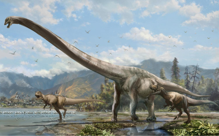 Picture 2 of Life of dinosaurs so far without extinction