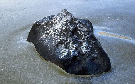 Picture 1 of Life on Earth formed by meteorites