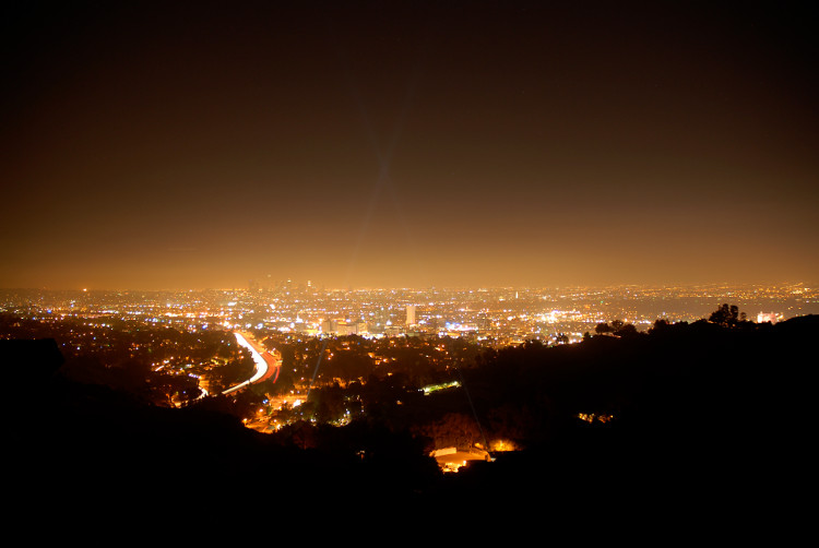 Picture 2 of Light pollution can cause spring to arrive 1 week early