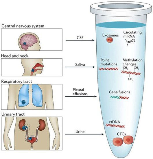 Picture 4 of Liquid biopsy: The dream of the world's most prominent oncologist