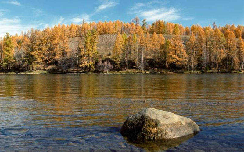 Picture 7 of Listed 10 longest rivers in the world