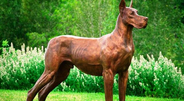 Picture 12 of Listed the most dangerous dogs in the world