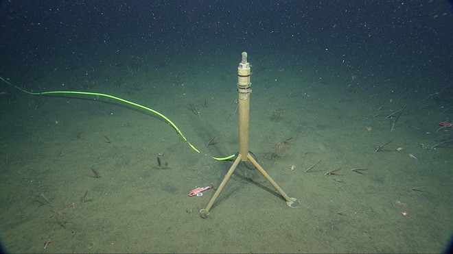 Picture 1 of Listen to livestream sound from the sea floor, will you be lucky to hear the dolphin?