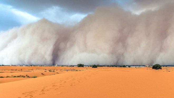 Picture 3 of Little known facts about the Sahara desert