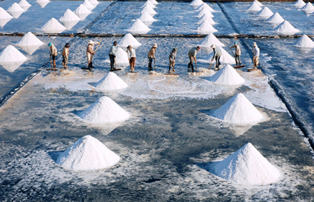 Picture 3 of Little things to know about salt