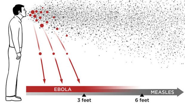 Picture 4 of Little-known facts about the virus: Where do they come from, how do they spread and cause illness?