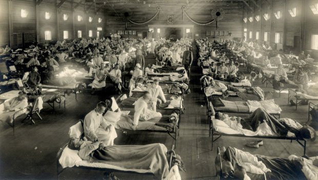Picture 6 of Little-known facts about the virus: Where do they come from, how do they spread and cause illness?