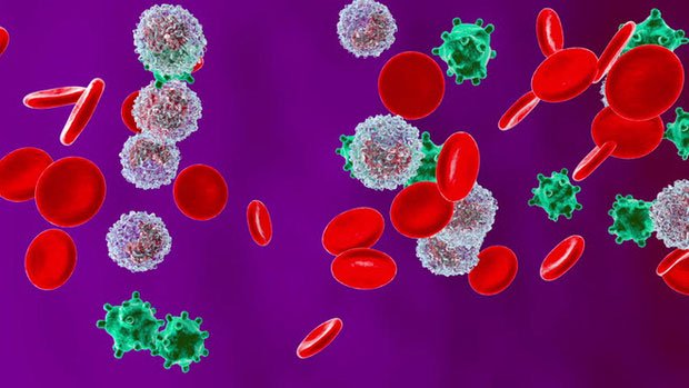 Picture 7 of Little-known facts about the virus: Where do they come from, how do they spread and cause illness?