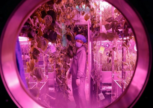 Picture 2 of Live 200 days in space: Do you have the courage to overcome the challenge?