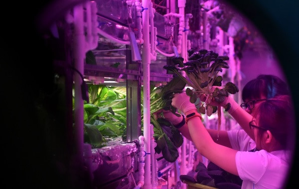 Picture 3 of Live 200 days in space: Do you have the courage to overcome the challenge?