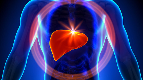 Picture 2 of Liver enzymes have a higher risk of cancer