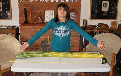 Picture 2 of Long cucumber record