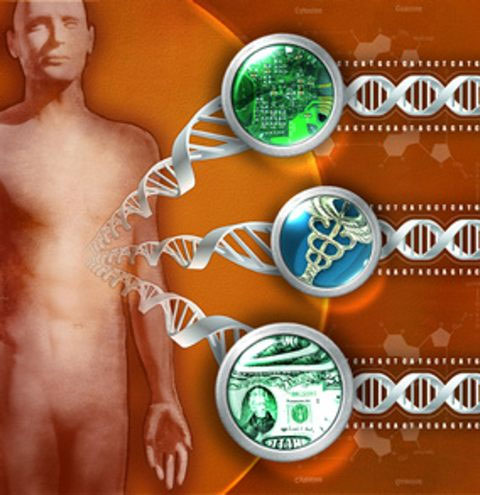 Picture 2 of Looking back at 10 years of publication of human gene map