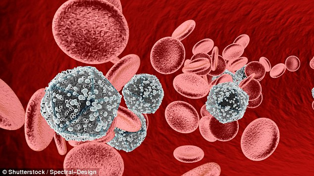 Picture 1 of Looking for a radical cure for HIV / AIDS?
