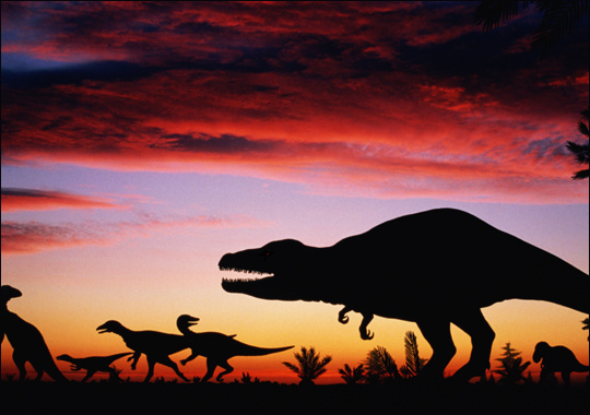 Picture 1 of Looking for the cause of extinction of dinosaurs