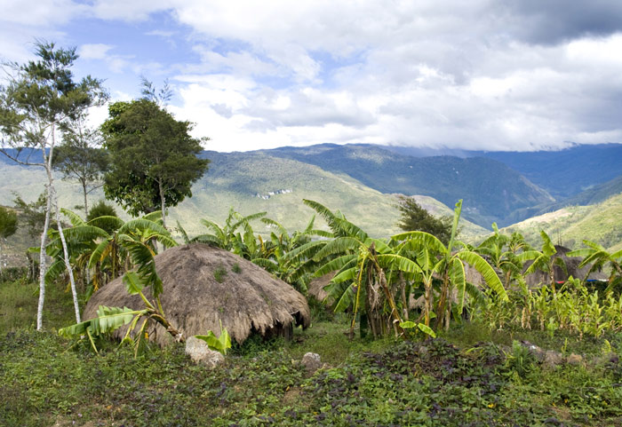 Picture 12 of Lorentz National Park - Indonesia