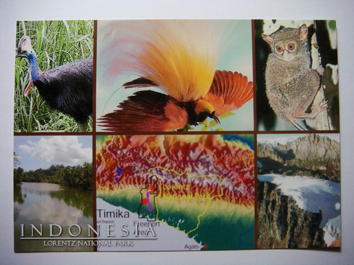 Picture 7 of Lorentz National Park - Indonesia