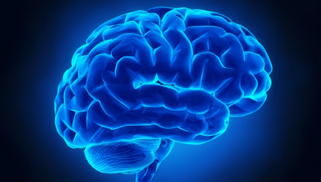 Picture 1 of Losing a hand?  It's okay, because your brain will quickly train the other body to do the job