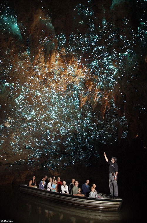 Picture 1 of Lost in the 'galaxy' in the cave in New Zeanland