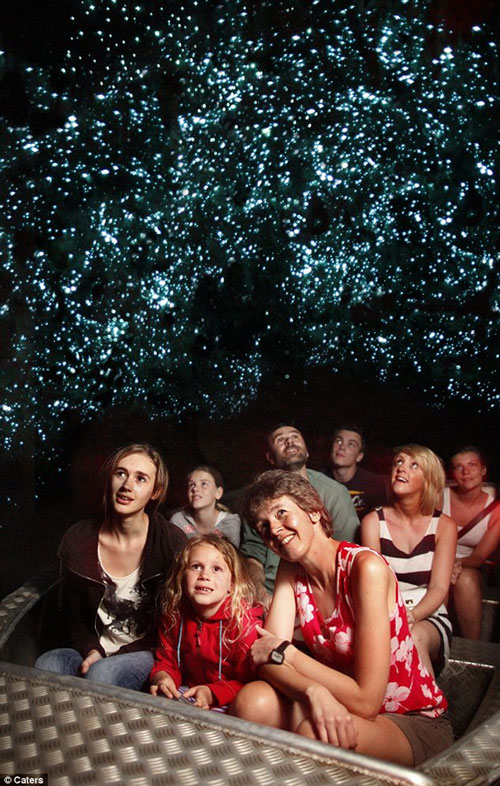 Picture 2 of Lost in the 'galaxy' in the cave in New Zeanland