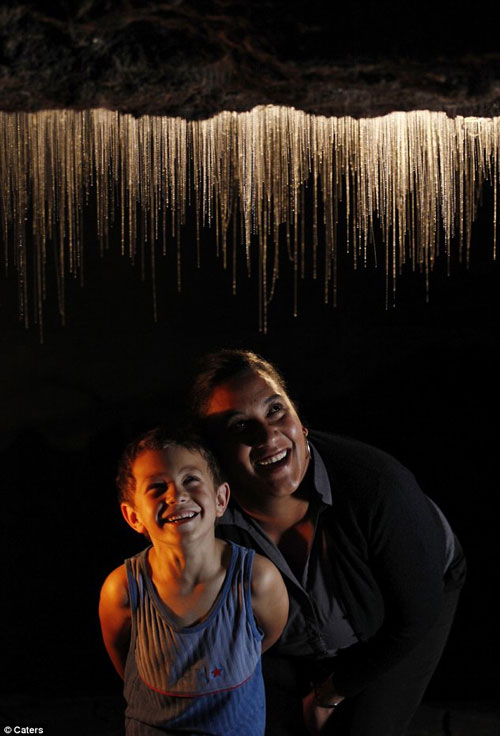 Picture 4 of Lost in the 'galaxy' in the cave in New Zeanland