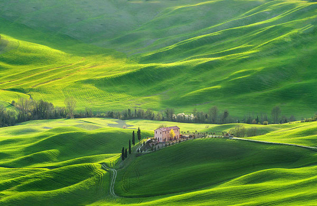 Picture 2 of Lost in Tuscany wonderland