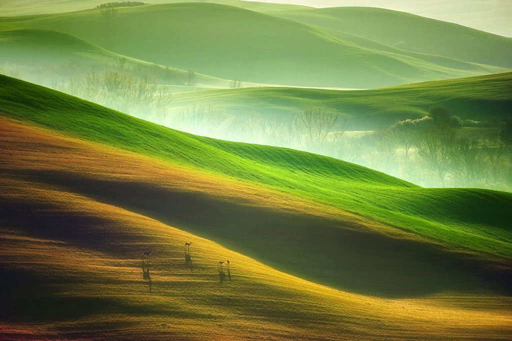 Picture 6 of Lost in Tuscany wonderland