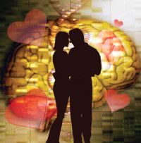 Picture 1 of Love - elixir has many side effects