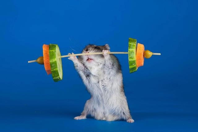 Picture 10 of Lovely animal photos like humans