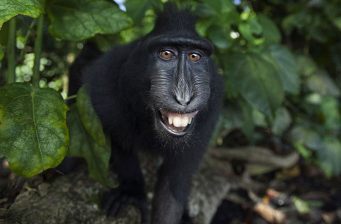 Picture 7 of Lovely funny animal photos