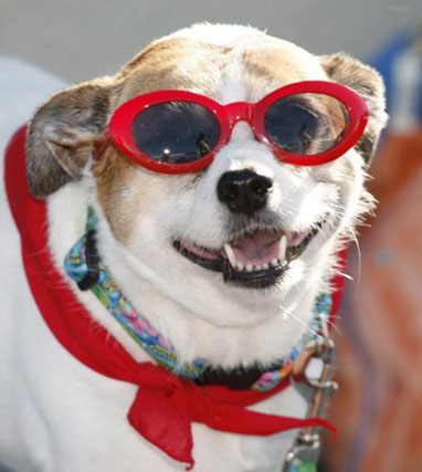 Picture 8 of Lovely funny animal photos