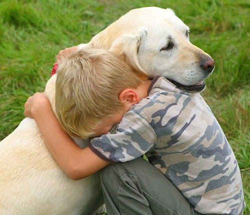 Picture 1 of Loving way of animals