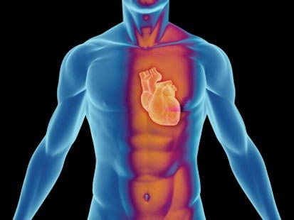 Picture 1 of Low IQ is prone to heart disease