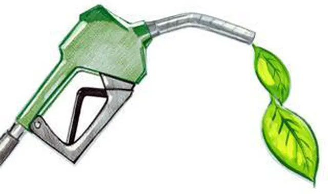 Picture 1 of Low-carbon biological materials: Many environmentally friendly