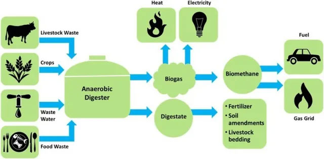 Picture 2 of Low-carbon biological materials: Many environmentally friendly
