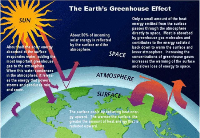 Picture 3 of Low-carbon biological materials: Many environmentally friendly