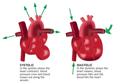 Picture 3 of Lower your blood pressure with a diet rich in potassium