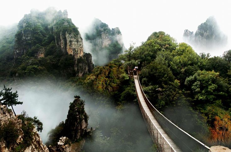Picture 8 of Lu Son National Park - China