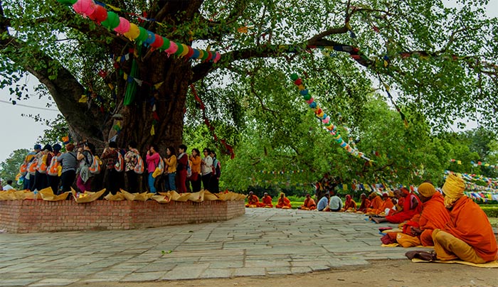 Picture 6 of Lumbini, the birthplace of Shakyamuni Buddha