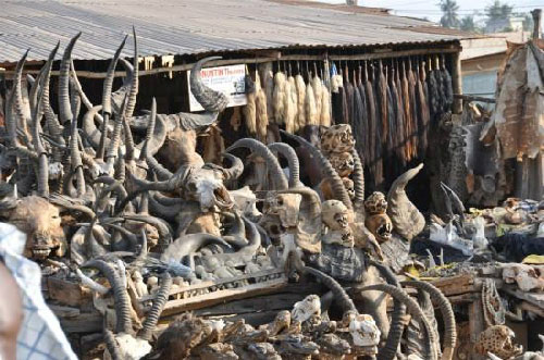 Picture 1 of Magic spells market in Africa