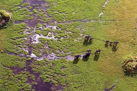 Picture 7 of Magical Africa through photo beams