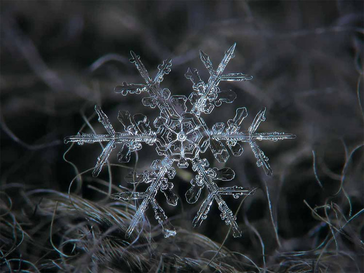 Picture 5 of Magical beautiful snowflakes