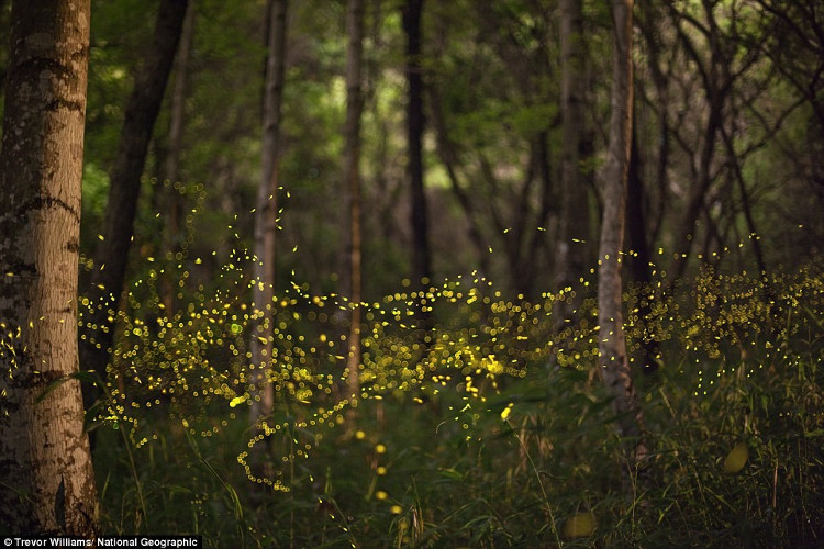 Picture 10 of Magical scenes in NatGeo's photos