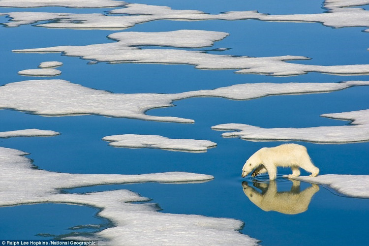 Picture 11 of Magical scenes in NatGeo's photos